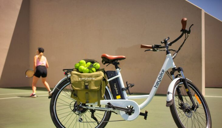 white and black bicycle with green fruit on top